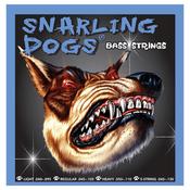 D'Andrea Snarling Dogs 5 String Bass 045-130