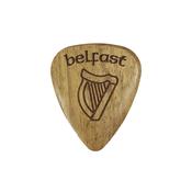 Belfast Harp Wooden Plectrum image
