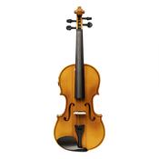Stagg Solid Top  Electric-Acoustic Violin image