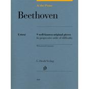 At The Piano Beethoven