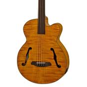 Aria FEBF2 Electro Acoustic Fretless Bass Guitar Stained Brown image