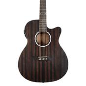 Washburn EBONY ACE Deep Forest Acoustic-Electric Guitar image