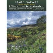 A Walk In An Irish Garden image