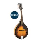 Washburn Mandolin Kit image