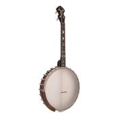 Gold Tone Gold Tone Irish Tenor Banjo With 17 Frets and Gig Bag image