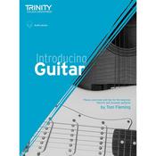 Introducing Guitar image