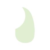Boston Teardrop Mint Pickguard For Acoustic Guitar image