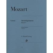 String Quintets - Volume 1 image