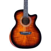 Washburn WCG12FCE Acoustic-Electric Guitar Gloss Finish image