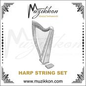 19 String Trinity/Boru Harp String Set