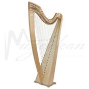 Camac Classical Isolde 38 Fluorocarbon Strings In Walnut