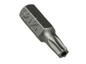 Tool Trek Powerfly/B-Cycle T25 Torx Security Bit 2018 Grey