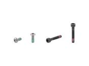 Fastener Trek-Electra Townie Go! 5i Rack Bolts Silver image