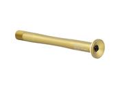 Skewer Bontrager Switch Lever Pro 12 x 119.5mm Gold Front