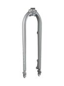 Fork Rigid Electra Townie Path GO! 10D Holographic image