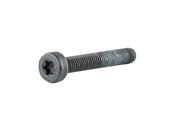 Fastener TQ HPR Display Screw M3 x 20mm Black Each image