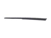 Armor Trek 2024 Supercaliber Chainstay