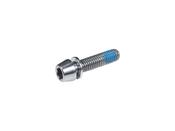 Fastener Trek Bar/Stem Titanium Pinch Bolt M5 x20Â mm image