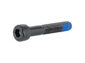Fastener Trek M8x1.25x45mm Socket Head Cap Screw SS 304 image