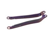 Chainstay Trek Rail P1 29 2021 Purple Phaze image