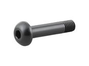 Suspension Part Trek Bolt M8x1.25x38 Alloy