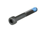 Suspension Part Trek Bolt M8 x 1.25 x 55 Steel image