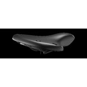 C67 Cambium