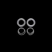 Ratchet/spring Kit 36t