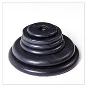 Standard Weight Plates For spinlock dumbbell or barbell image