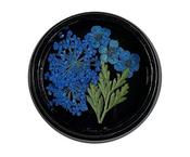 Blue Dried Flowers image