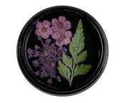 Dried flowers Mauve image