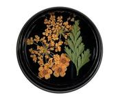 Orange Dried Flowers image