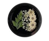 Dried Flowers White image