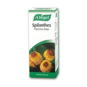 A Vogel Spilanthes | Buy Online in Ireland image