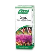 A. Vogel Artichoke Cynara | Buy Online in Ireland