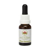 Australian Bush Flower Essence Five Corners | Buy Online in Ireland