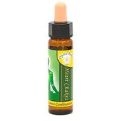Chakra Flower Gemstone Essence Heart | Buy Online in Ireland