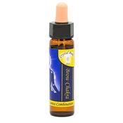 Chakra Flower Gemstone Essence Third Eye | Buy Online in Ireland