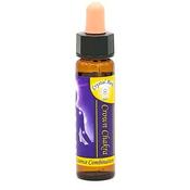 Chakra Flower Gemstone Essence Crown | Buy Online in Ireland