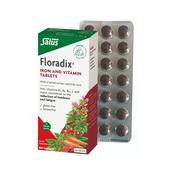 Salus Haus Vegan Floradix Iron Tablets | Buy Online in Ireland image
