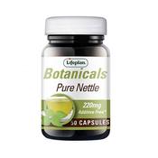 Lifeplan Nettle 220mg | Buy Online in Ireland image