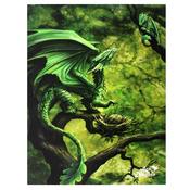 Canvas Anne Stokes Forest Dragon | Buy Online in Ireland