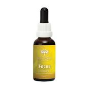 Australian Bush Flower Essence Focus | Buy Online in Ireland