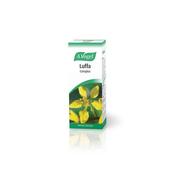 A. Vogel Luffa | Buy Online in Ireland