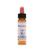 Healing Herbs Bach Walnut | Buy Online in Ireland