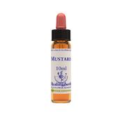 Healing Herbs Bach Mustard | Buy Online in Ireland image