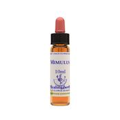 Healing Herbs Bach Mimulus | Buy Online in Ireland