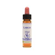 Healing Herbs Bach Larch | Buy Online in Ireland