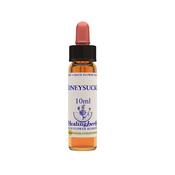 Healing Herbs Bach Honeyscukle | Buy Online in Ireland image