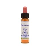 Healing Herbs Bach Gentian | Buy Online in Ireland